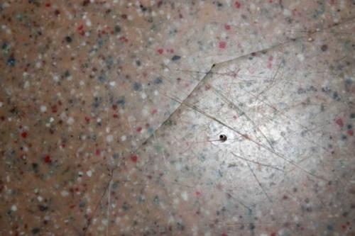 Как выбираются материалы и технологии для производства столешниц из искусственного камня. Столешницы из акрила