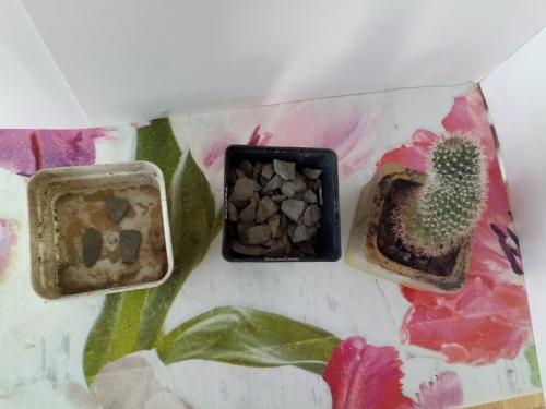 Горшок для цветов своими руками из цемента. Как делать цементные горшки