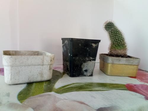 Горшки для цветов из цемента. Как делать цементные горшки