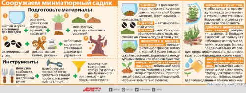 Какие условия необходимо создать для выращивания растений в стекле. Сад в банке. Как сделать флорариум?