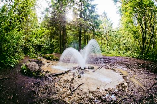Как найти воду дедовским способом. «Дедовские» методы поиска воды