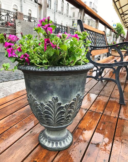 Какие популярные дизайны бетонных вазонов существуют. На все случаи жизни: оригинальные уличные вазоны для цветов, как идеальное украшение вашего участка