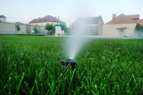 Капельный полив для теплицы своими руками из шланга. Капельный полив: капельницы, спринклеры, микроразбрызгиватели