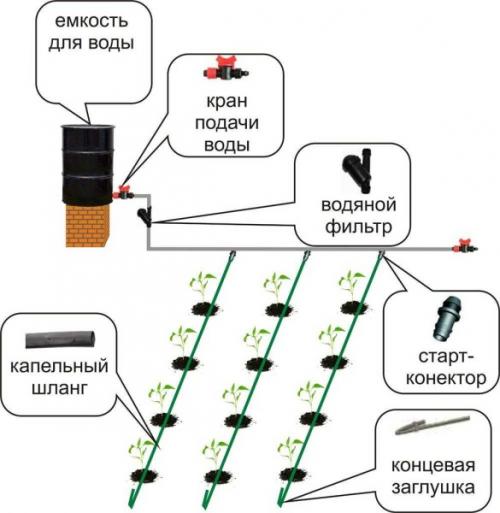 Капельный полив в теплице из бочки. Составляющие и варианты компоновки