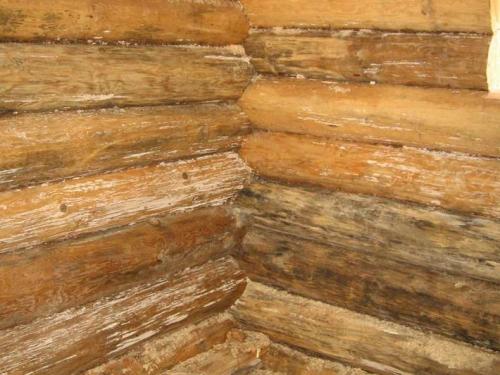 Рейтинг антисептиков для дерева для наружных работ 2023. Рейтинг лучших антисептиков для древесины: советы чем обработать от влаги и гниения +, что можно использовать в домашних условиях