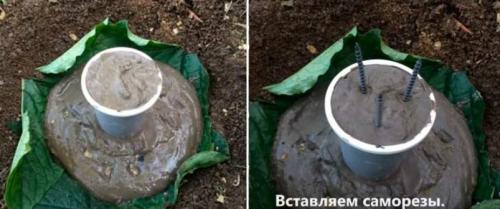 Какие советы можно дать начинающим мастерам по изготовлению поделок из цемента. Реалистичные грибы из бетона в своем огороде