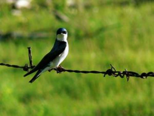 Как сделать свой сад красивым и уютным: 15 полезных советов 10 Как сделать свой сад красивым и уютным: 15 полезных советов 10