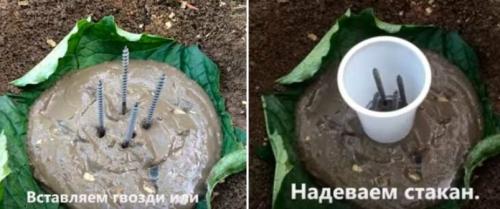 Какие советы можно дать начинающим мастерам по изготовлению поделок из цемента. Реалистичные грибы из бетона в своем огороде