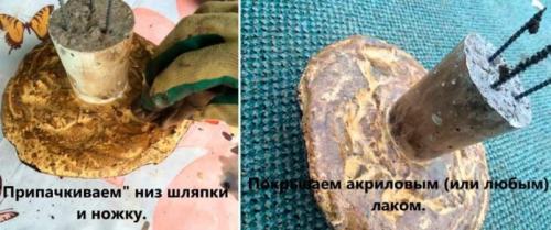 Какие советы можно дать начинающим мастерам по изготовлению поделок из цемента. Реалистичные грибы из бетона в своем огороде