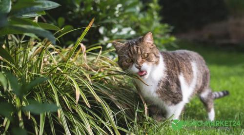 Садовый декор своими руками: 10 простых идей для украшения вашего сада 12 Садовый декор своими руками: 10 простых идей для украшения вашего сада 12
