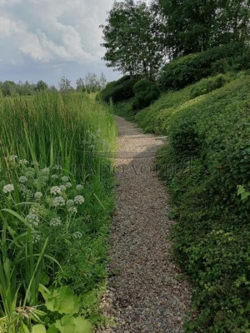 Как предотвратить высыхание пруда в жаркую погоду. Какие мероприятия должны проводиться летом?