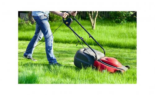 Как предотвратить появление комаров в пруду. Как не допустить размножение комаров на вашем дворе