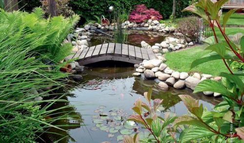 Как выбрать место для пруда на даче, учитывая освещенность и водоснабжение. Где выбрать место на участке, чтобы сделать пруд