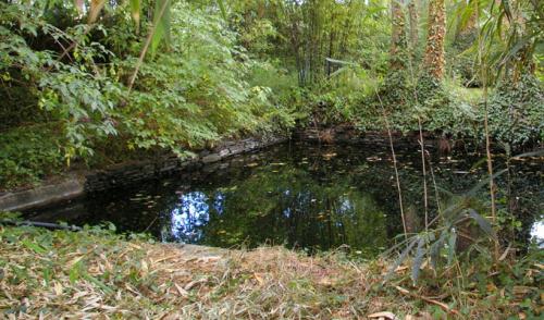 Как выбрать место для пруда на даче, учитывая освещенность и водоснабжение. Где выбрать место на участке, чтобы сделать пруд