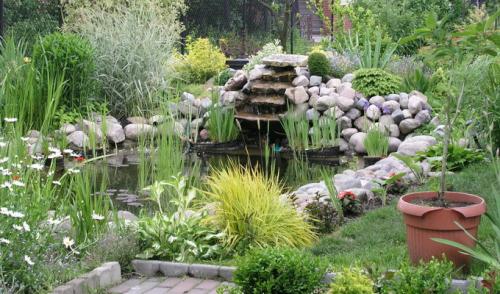 Как выбрать место для пруда на даче, учитывая освещенность и водоснабжение. Где выбрать место на участке, чтобы сделать пруд