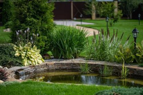 Сколько времени занимает строительство прудика на даче. Этапы строительства водоема под ключ