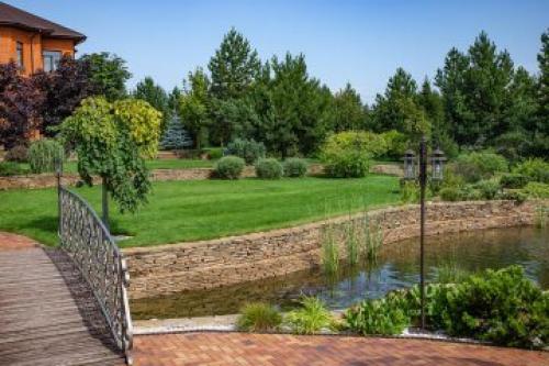 Сколько времени занимает строительство прудика на даче. Этапы строительства водоема под ключ