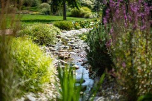 Сколько времени занимает строительство прудика на даче. Этапы строительства водоема под ключ