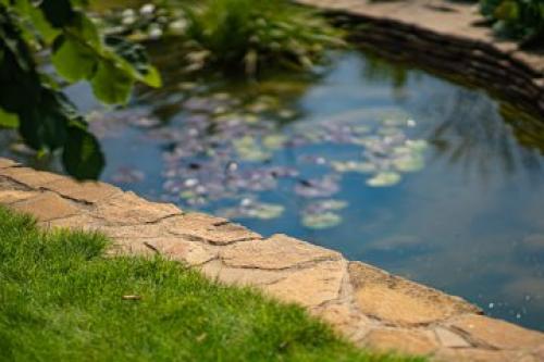 Сколько времени занимает строительство прудика на даче. Этапы строительства водоема под ключ