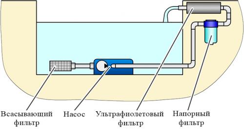 Создай пруд за 15 тысяч: пошаговая инструкция Создай пруд за 15 тысяч: пошаговая инструкция