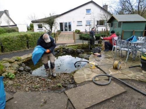 Как предотвратить протечки в самодельном пруду. Очистка пруда и запуск оборудования
