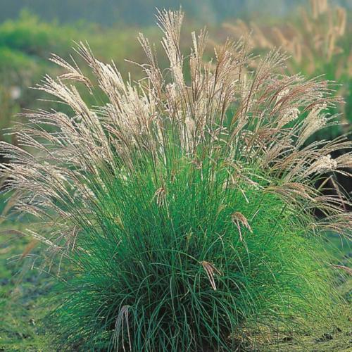 Как сделать недорогой водоём своими руками: пошаговая инструкция 12 Как сделать недорогой водоём своими руками: пошаговая инструкция 12