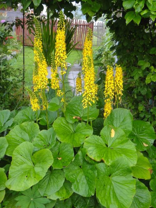 Как сделать недорогой водоём своими руками: пошаговая инструкция 10 Как сделать недорогой водоём своими руками: пошаговая инструкция 10