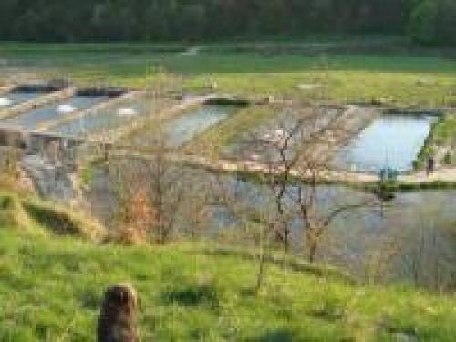 Как сделать недорогой водоём своими руками: пошаговая инструкция 05 Как сделать недорогой водоём своими руками: пошаговая инструкция 05