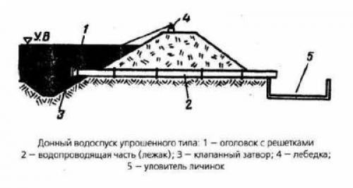 Создание беспленочного пруда на участке: простая и эффективная схема 22 Создание беспленочного пруда на участке: простая и эффективная схема 22