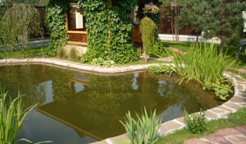 Как выбрать подходящее место для пруда на заднем дворе. Искусственные пруды на садовом участке (с фото)