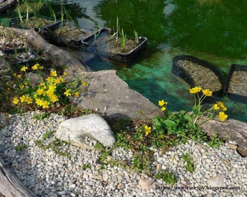 Какие советы по оформлению берегов пруда существуют. Как оформить берега пруда для купания: правильный цвет пленки - это основа