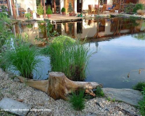 Какие советы по оформлению берегов пруда существуют. Как оформить берега пруда для купания: правильный цвет пленки - это основа