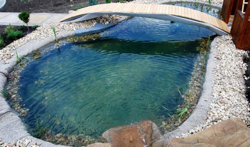 Как выбрать подходящее место для пруда на заднем дворе. Искусственные пруды на садовом участке (с фото)