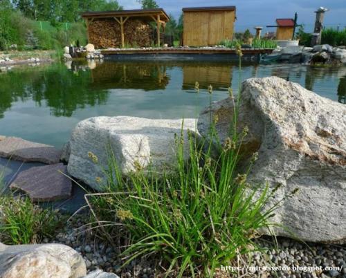 Какие советы по оформлению берегов пруда существуют. Как оформить берега пруда для купания: правильный цвет пленки - это основа