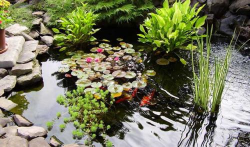 Как выбрать подходящее место для пруда на заднем дворе. Искусственные пруды на садовом участке (с фото)
