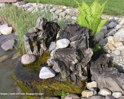 Какие советы по оформлению берегов пруда существуют. Как оформить берега пруда для купания: правильный цвет пленки - это основа