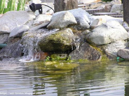 Какие советы по оформлению берегов пруда существуют. Как оформить берега пруда для купания: правильный цвет пленки - это основа