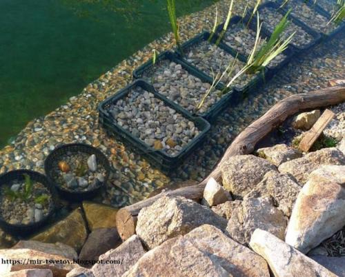 Какие советы по оформлению берегов пруда существуют. Как оформить берега пруда для купания: правильный цвет пленки - это основа