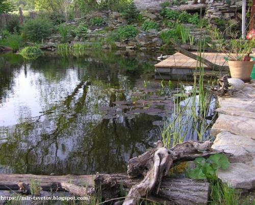 Какие советы по оформлению берегов пруда существуют. Как оформить берега пруда для купания: правильный цвет пленки - это основа