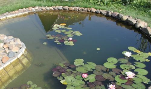 Как выбрать подходящее место для пруда на заднем дворе. Искусственные пруды на садовом участке (с фото)