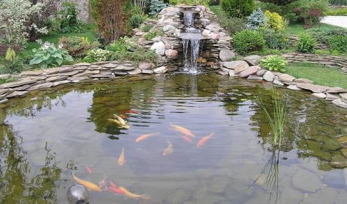 Как выбрать подходящее место для пруда на даче с учетом освещенности и уровня грунтовых вод. Искусственные пруды на садовом участке (с фото)