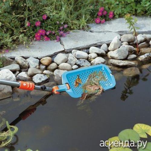 Как бороться с вредителями и избежать загрязнения пруда на даче. Уход за прудом летом. Борьба с цветением