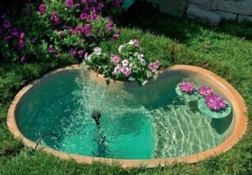 Как бороться с вредителями и избежать загрязнения пруда на даче. Уход за прудом летом. Борьба с цветением