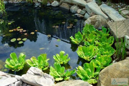 Садовый прудик своими руками: пошаговая инструкция 01