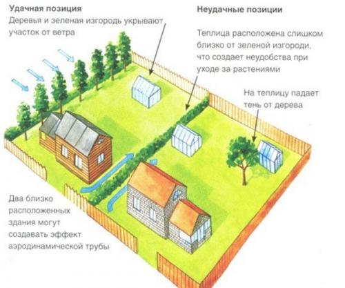 Парник для рассады в земле. Выбор места для парника