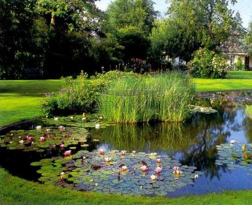 Пошаговая инструкция: как сделать пруд любой сложности своими руками 03 Пошаговая инструкция: как сделать пруд любой сложности своими руками 03