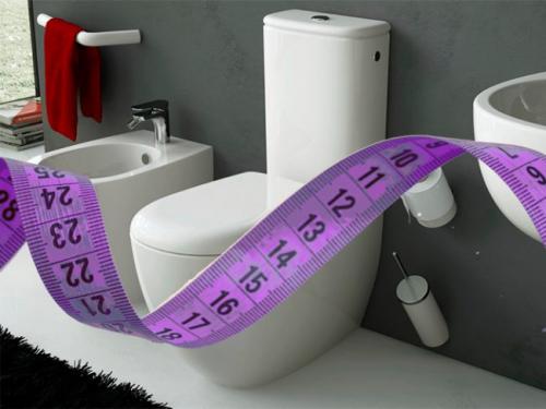 Размеры унитаза напольного. Размеры унитаза с бачком и их классификация