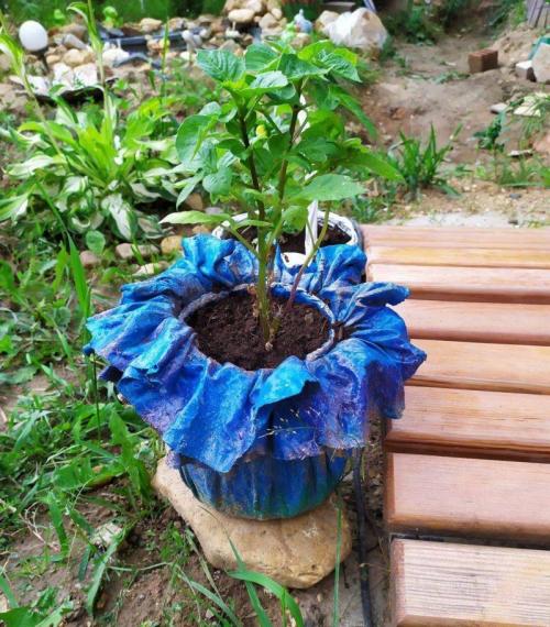 Как выбрать подходящий дизайн фигуры для сада из цемента. Особенности работы с материалом