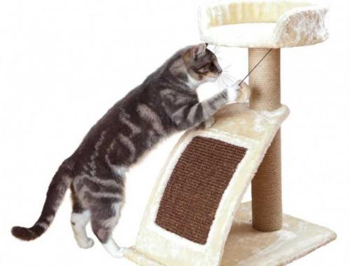 Заготовки для когтеточки. Как сделать когтеточку своими руками из подручных материалов: примеры создания домика для кошки