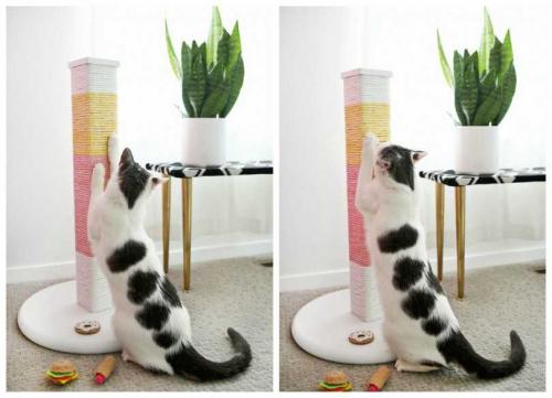 Заготовки для когтеточки. Как сделать когтеточку своими руками из подручных материалов: примеры создания домика для кошки